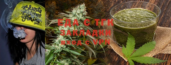 индика Алзамай