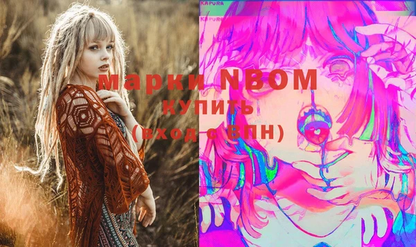 индика Алзамай