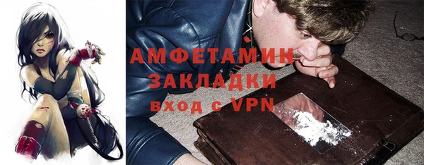 индика Алзамай
