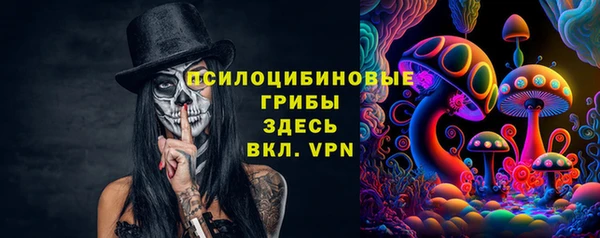 синтетический гашиш Алексин