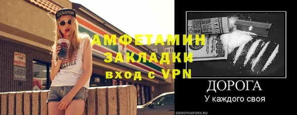 индика Алзамай