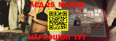 дмт Краснодар